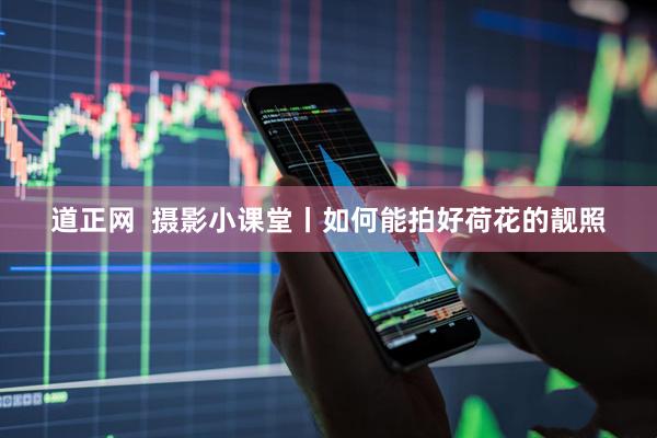 道正网  摄影小课堂丨如何能拍好荷花的靓照